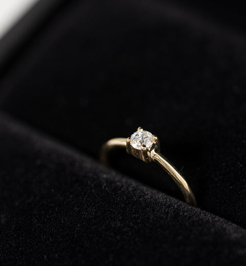 Anillo Petite Sofia