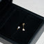 Perlitas 5mm
