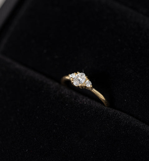 Anillo Petit Paz