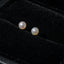Perlitas 4mm